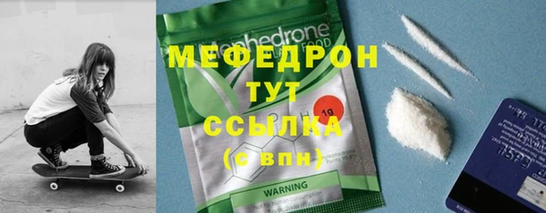 индика Дмитриев