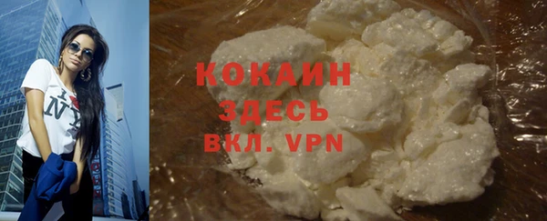 ПСИЛОЦИБИНОВЫЕ ГРИБЫ Дмитров