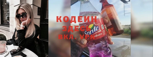 индика Дмитриев