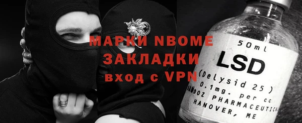 индика Дмитриев