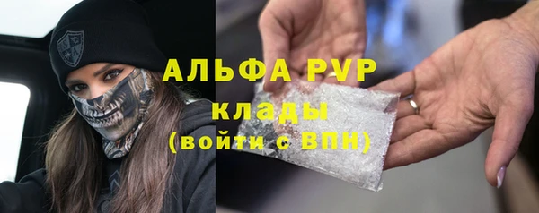 индика Дмитриев