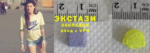 индика Дмитриев