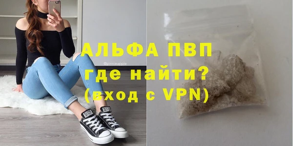 ПСИЛОЦИБИНОВЫЕ ГРИБЫ Дмитров