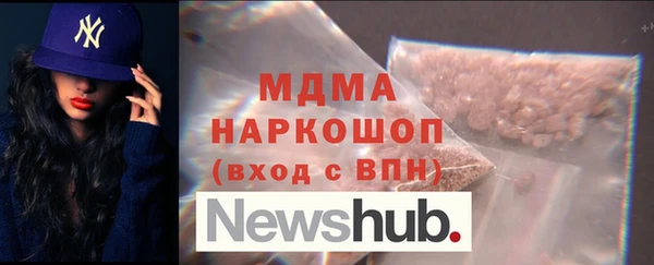 индика Дмитриев