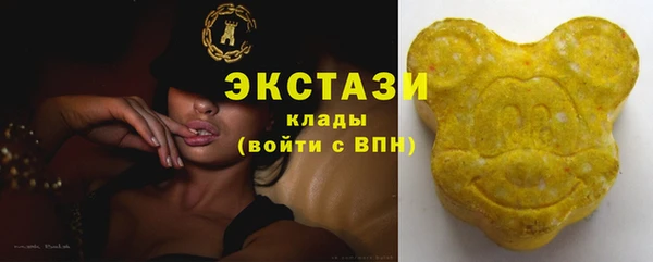индика Дмитриев