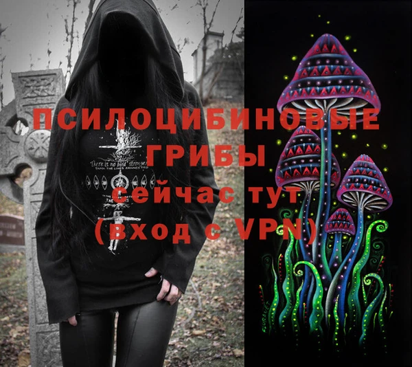 мдпв Дмитровск