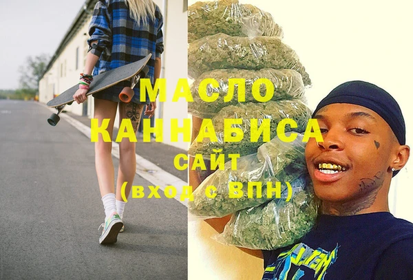 индика Дмитриев