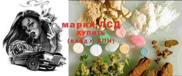 ПСИЛОЦИБИНОВЫЕ ГРИБЫ Дмитров