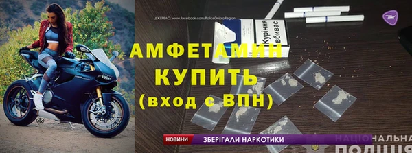индика Дмитриев