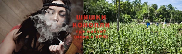 ПСИЛОЦИБИНОВЫЕ ГРИБЫ Дмитров