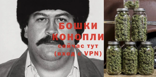 индика Дмитриев