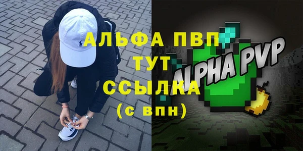 индика Дмитриев