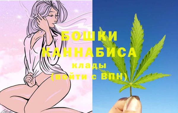 индика Дмитриев
