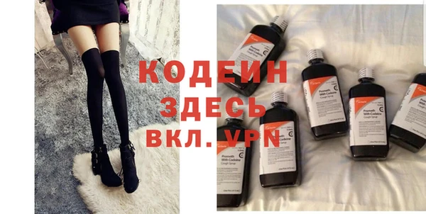 индика Дмитриев