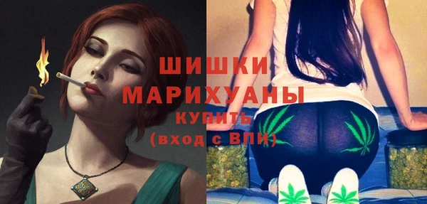 индика Дмитриев