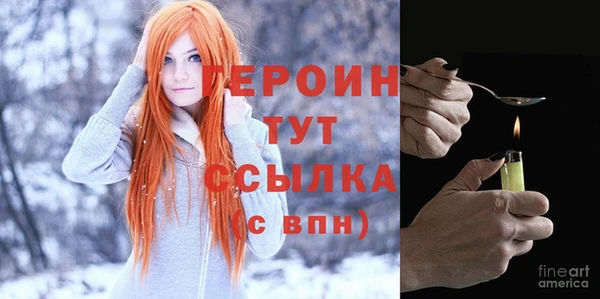 индика Дмитриев
