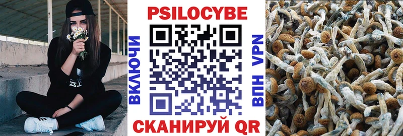 Псилоцибиновые грибы мицелий  Купить где  Темрюк 
